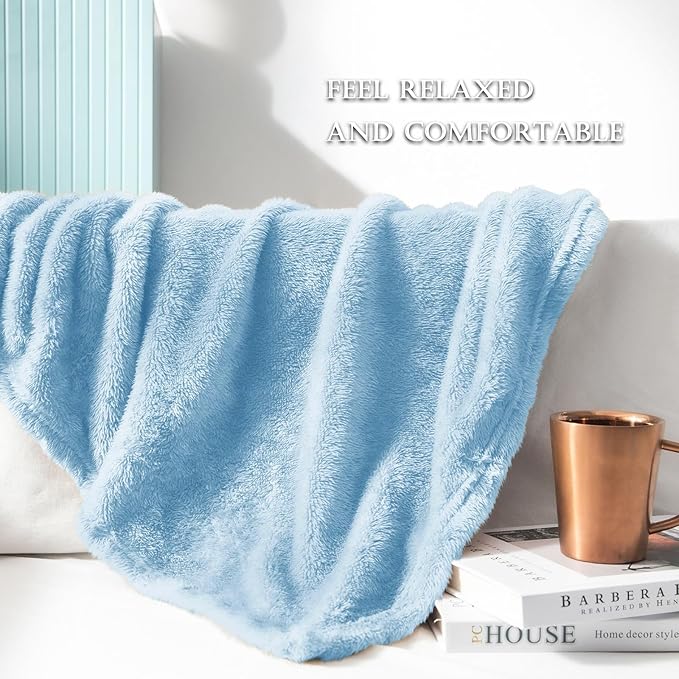 Exclusivo Mezcla Plush Fuzzy Fleece Bed Blanket Twin Size, Super Soft, Fluffy and Warm Blankets, Suitable for All Seasons (Light Blue, 90x66 Inches)
