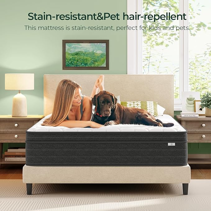 koorlian 12 Inch King Size Mattress in a Box for Back Pain, Medium Firm Feel Fiberglass Free Hybrid Mattress with Individual Pocket Springs and Pressure-Relieving Memory Foam, 120-Night Trial