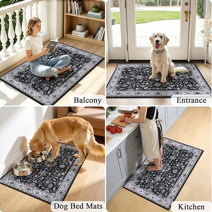 HEBE Indoor Door Mat 2'x3', Washable Welcome Mat - Image 6