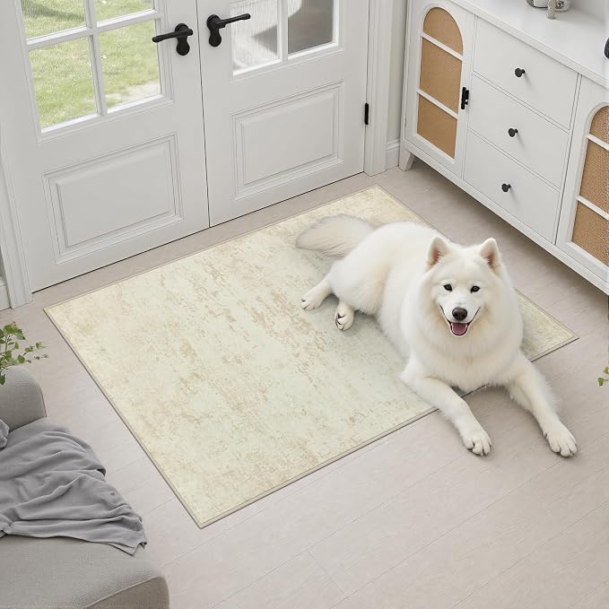 2x3 Washable Entryway Rug: Modern Abstract Indoor Soft Carpet Beige | - Image 3