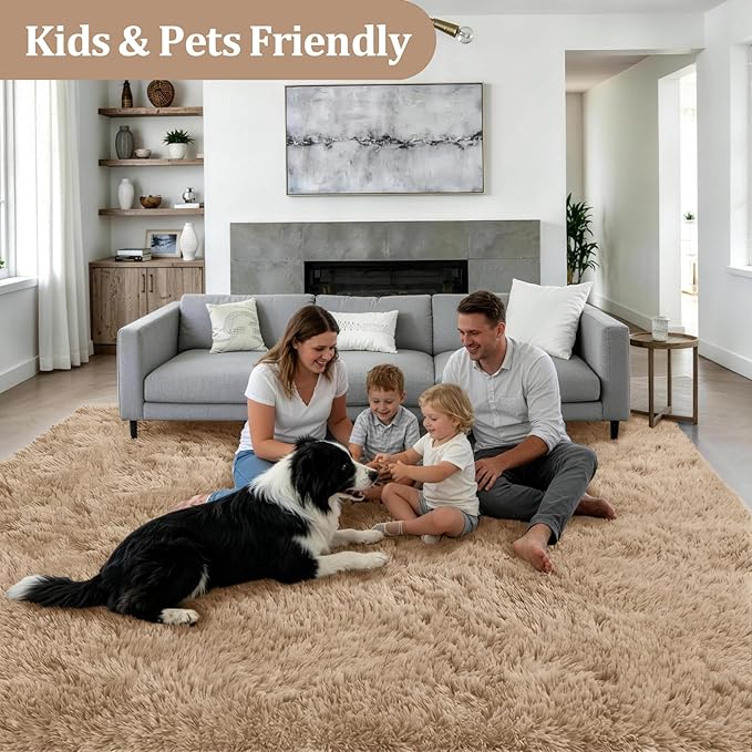 Area Rug Living Room Bedroom: 4x6 Fluffy Plush Shag Carpet Beige | - Image 4