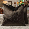 GIGIZAZA Crushed Brown Velvet Throw Pillow Covers 20x20 Pack of 2 | Decorative by GIGIZAZAFocusingonhomedecoration