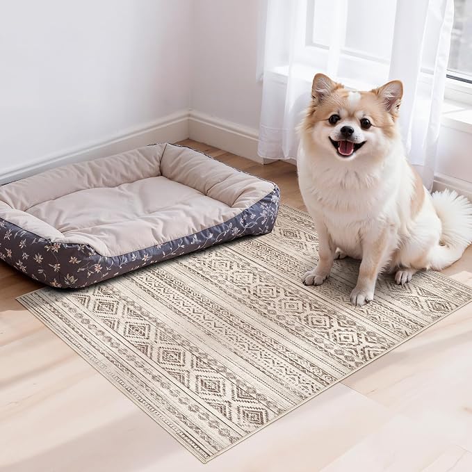 cotiled Washable 2x3 Entryway Rugs: Boho Moroccan Soft Small Rug | Solve Modern - Image 7