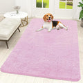 OLANLY Dog Door Mat for Muddy Paws 59x35, Super Absorbent Chenille Mud Mat | by OLANLY