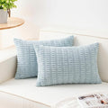 Pack of 2 Corduroy Decorative Throw Pillow Covers 12x20 Inch, Sky Blue | Fall by Unknown