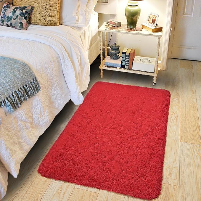 Pionblank Fluffy Small Rug for Bedroom 2x3 Feet, Shag Soft Area Rug, Furry Cute by PIONBLANK