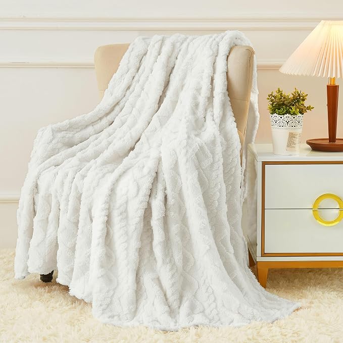 Aganear Fleece Throw Blanket for Couch Sofar 50"x60" White | Lightweight Fuzzy by Aganear