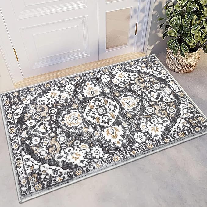 HEBE Indoor Door Mat 2'x3', Washable Welcome Mat by HEBE