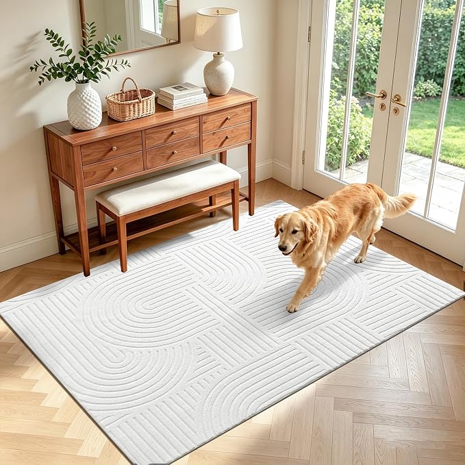 Pauwer 4x6 Area Rugs for Living Room, Modern Non Slip Washable Rug, Soft Fluffy by Pauwer