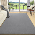 4x6 Area Rugs for Living Room Non Slip Dorm Bedroom Rug, Minimalist Washable by AROGANAREARUG