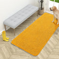 OLANLY Dog Door Mat for Muddy Paws 54x24, Super Absorbent Chenille Mud Mat | by OLANLY