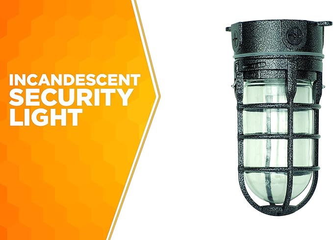 Woods L1706BLK Vandal Resistant 150W Incandescent Security Light, Ceiling Mount, Hammered Black