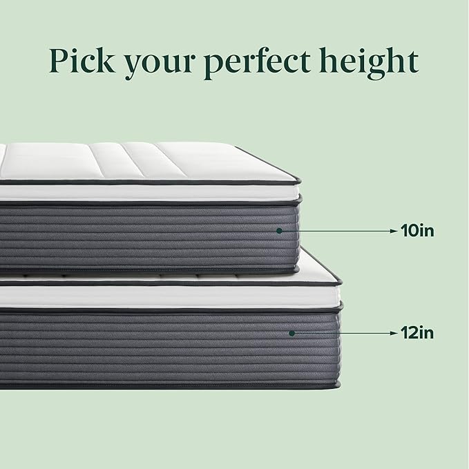 ZINUS 12 Inch True Support Hybrid Mattress [New Version], Queen, Fiberglass Free, Medium Feel, Motion Isolation, Certified Safe Foams & Fabric, Mattress in A Box