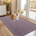 OLANLY Dog Door Mat for Muddy Paws 54x32, Super Absorbent Chenille Mud Mat | by OLANLY