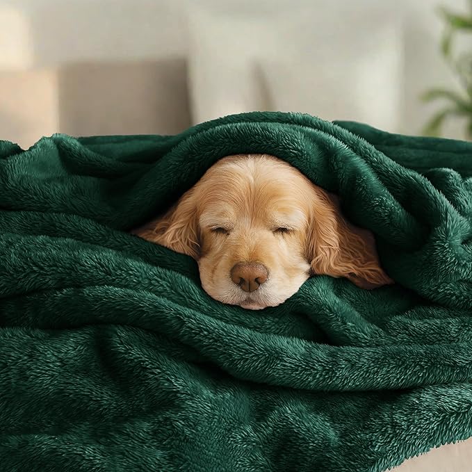 Exclusivo Mezcla Plush Fuzzy Fleece Bed Blanket Queen Size, Super Soft, Fluffy and Warm Blankets Suitable for All Seasons (Forest Green, 90x90 Inches)