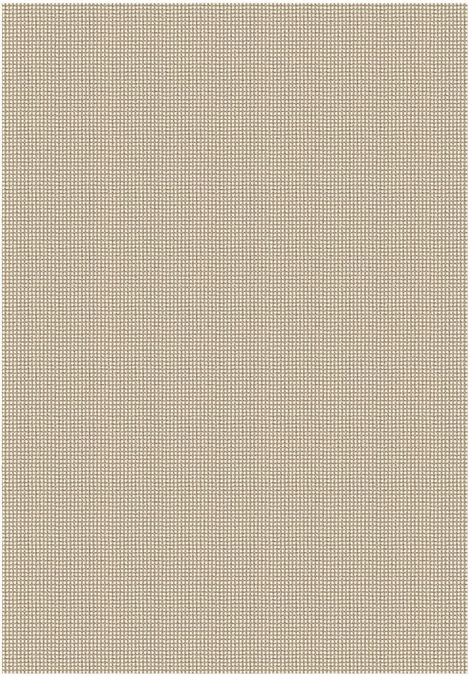 KOZYFLY Washable 5x7 Living Room Rug, Non Slip Woven Area Rugs, Braided Floor - Image 9