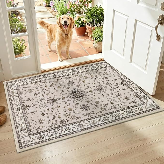 HEBE Indoor Door Mat 2'x3', Washable Welcome Mat by HEBE