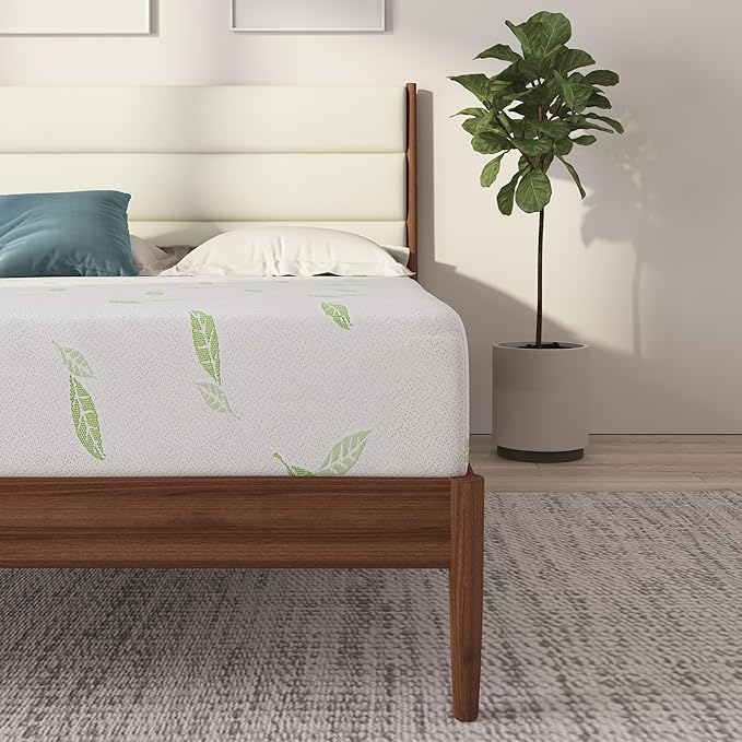 NapQueen Queen Size, 12 Inch Anula Green Tea Infused Memory Foam Mattress, Bed in a Box, CertiPUR-US Certified Mattress