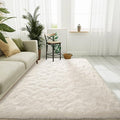 LOCHAS 4x6 Area Rugs Fluffy Living Room Carpets by LOCHAS
