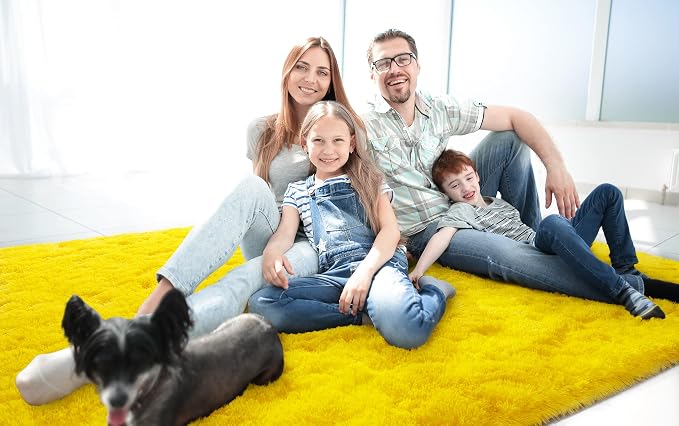 LOCHAS Area Rugs Fluffy Living Room Carpet - Image 2