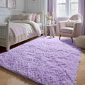 Purple Area Rugs for Bedroom Living Room, Fluffy 4x6 Indoor Bedside Floor Throw by ONASAR