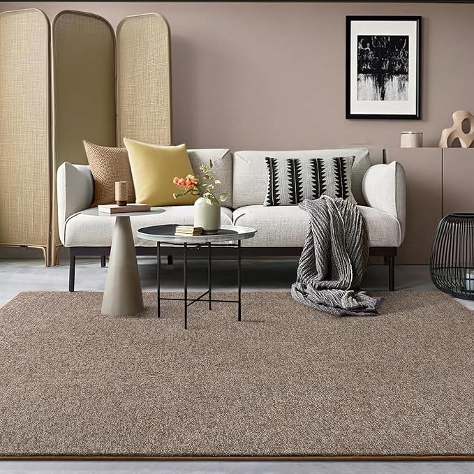 4x6 Area Rugs for Living Room Non Slip Dorm Bedroom Rug, Matte Brown | Modern - Image 8