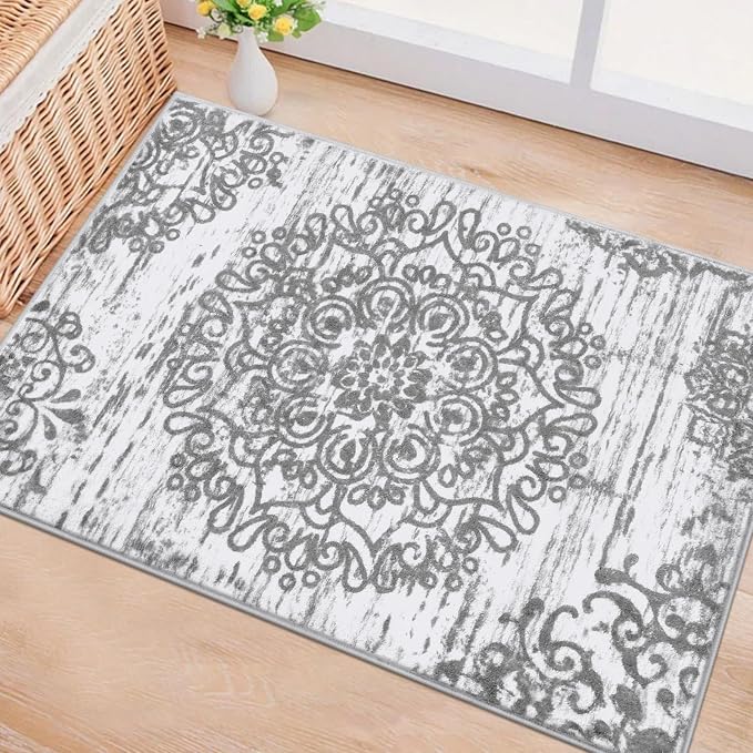 HEBE Indoor Door Mat 2'x3', Washable Welcome Mat - Image 6