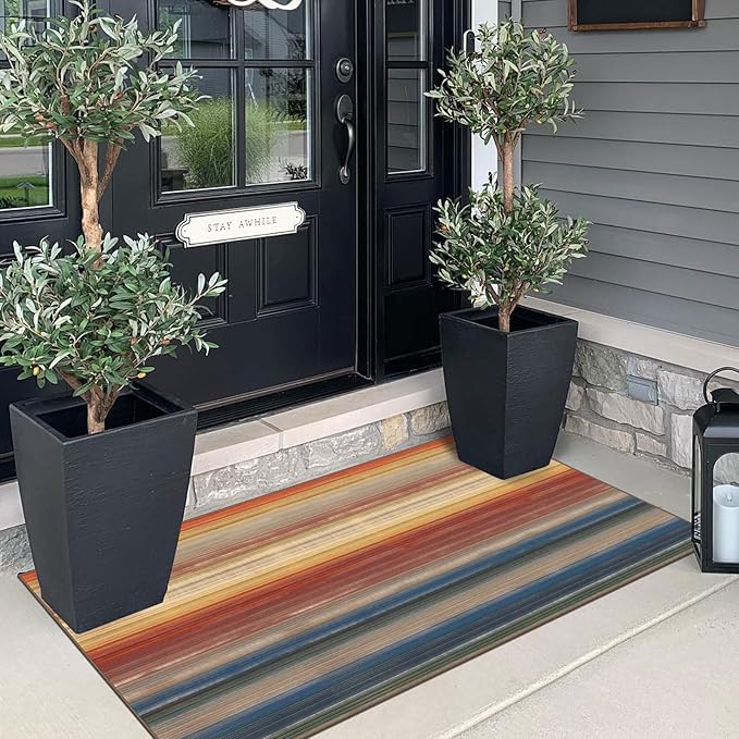 Front Door Mat Indoor Entrance - Image 3