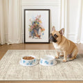 Soalmost 2x3 Washable Rugs for Kitchen, Small Area Rug Beige | Non-Slip Vintage by Soalmost