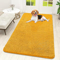 OLANLY Dog Door Mat for Muddy Paws 59x32, Super Absorbent Chenille Mud Mat | by OLANLY