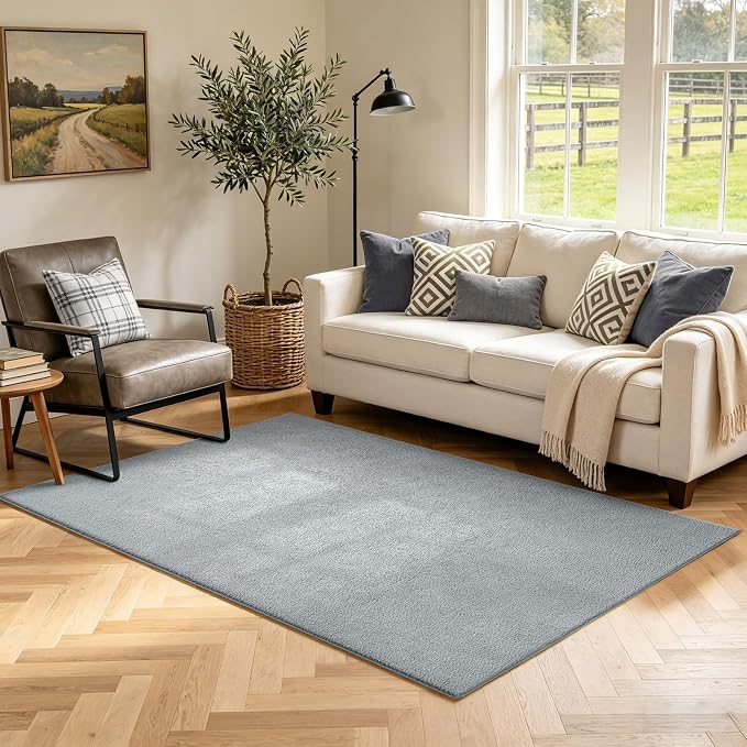 3x5 Light Grey Solid Area Rug Washable Non-Slip Soft by Unknown