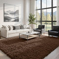 6x9 Fluffy Shag Area Rugs for Living Room Bedroom: Soft Plush Carpet Brown | by CarpetAddColortoYourLife