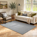 3x5 Grey Area Rug Washable Non-Slip Soft Thin by Unknown
