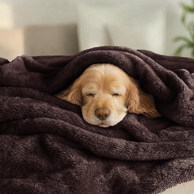 Exclusivo Mezcla Plush Fuzzy Fleece Bed Blanket King Size, Super Soft, Fluffy and Warm Blankets, Suitable for All Seasons (Coffee, 90x104 Inches)