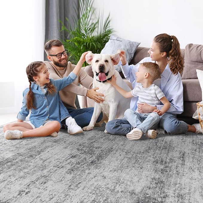 Aelenmu 8x10 Area Rugs for Living Room Bedroom Dining Room Washable Grey | Soft - Image 8