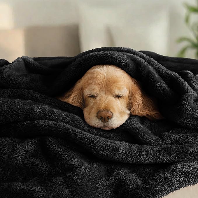 Exclusivo Mezcla Plush Fuzzy Fleece Bed Blanket King Size, Super Soft, Fluffy and Warm Blankets, Suitable for All Seasons (Black, 90x104 Inches)