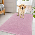OLANLY Dog Door Mat for Muddy Paws 44x32, Super Absorbent Chenille Mud Mat | by OLANLY
