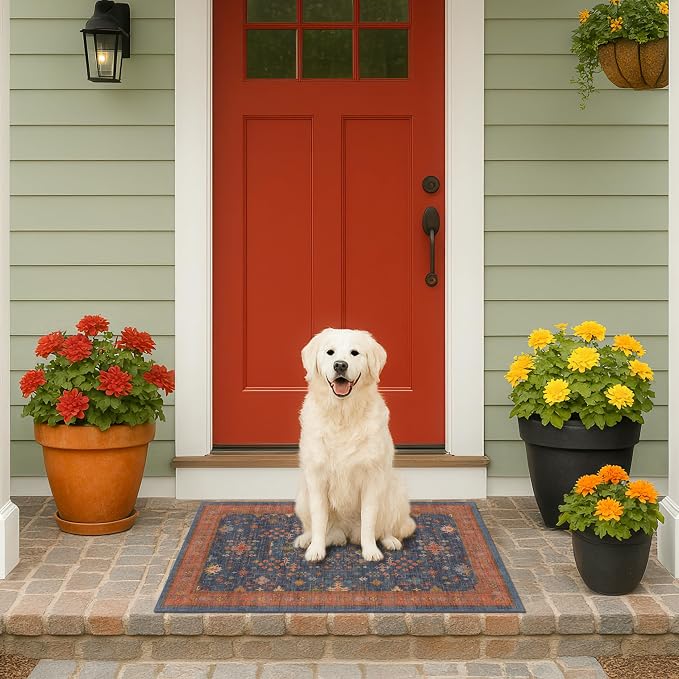 Washable 2x3 Entry Rug Front Door Indoor, Farmhouse Small Area Rugs - Image 9