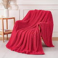 Cherry Red Throw Blanket for Couch Sofa 50x60 inches Striped Design | Fleece by Unknown
