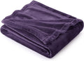 Bedsure GentleSoft Fleece Throw Blanket Purple by Unknown