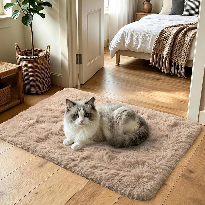3x5 Beige Fluffy Soft Area Rug Non-Slip - Image 2