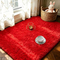 LOCHAS 2x3 Area Rugs Fluffy Living Room Carpets by LOCHAS