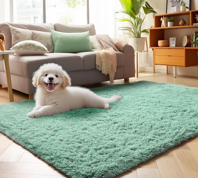 Sage Green Area Rugs for Bedroom Living Room, 4x6 Fluffy Cute Indoor Bedside by ONASAR