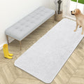 OLANLY Dog Door Mat for Muddy Paws 59x24, Super Absorbent Chenille Mud Mat | by OLANLY