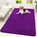OLANLY Dog Door Mat for Muddy Paws 59x35, Super Absorbent Chenille Mud Mat | by OLANLY
