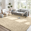 4x6 Fluffy Shag Area Rugs for Living Room Bedroom: Soft Plush Carpet Beige | by CarpetAddColortoYourLife