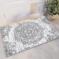 HEBE Indoor Door Mat 2'x3', Washable Welcome Mat by HEBE