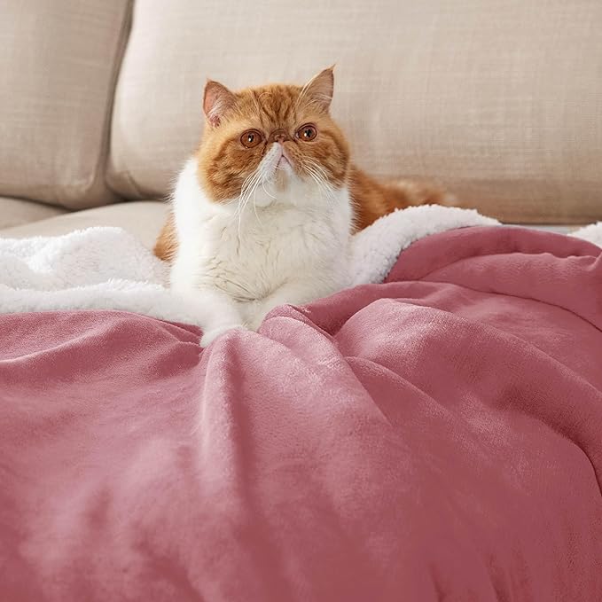 Bedsure GentleSoft Sherpa Fleece Throw Blanket Twin Size for Couch - Thick and Warm Throw for Girls and Women, Soft Fuzzy Plush Twin Blanket for Winter, Dusty Rose, 60x80 Inches