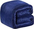 Fleece Blanket Twin Size 350GSM Lightweight Throw for The Bed Extra Soft Brush Fabric Super Warm Sofa Blanket 66" x 90"(Royal Blue Twin)