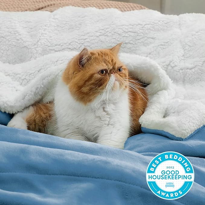 Bedsure GentleSoft Sherpa Fleece Blankets Queen Size for Bed - Thick and Warm Throw for Women and Men, Soft Fuzzy Plush Queen Blanket for Winter, Washed Blue, 90x90 Inches